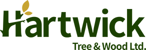 Hartwick Tree And Wood Logo
