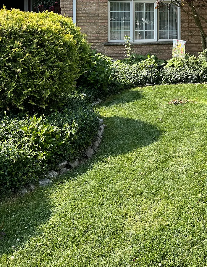 Deep Root Fertilization Service