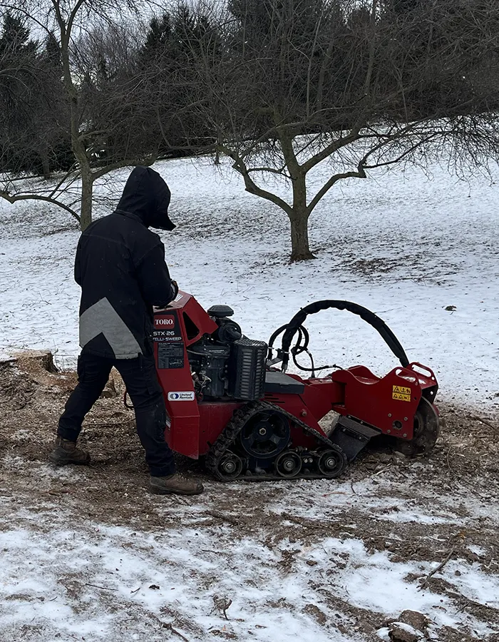 Stump Grinding In Niagara Falls
