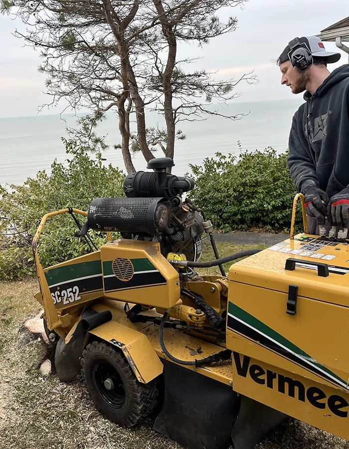 Stump Grinding Service